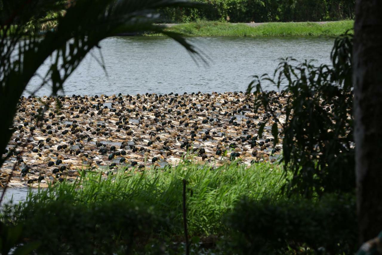 阿育吠陀绿色宫殿度假村 Alappuzha 外观 照片