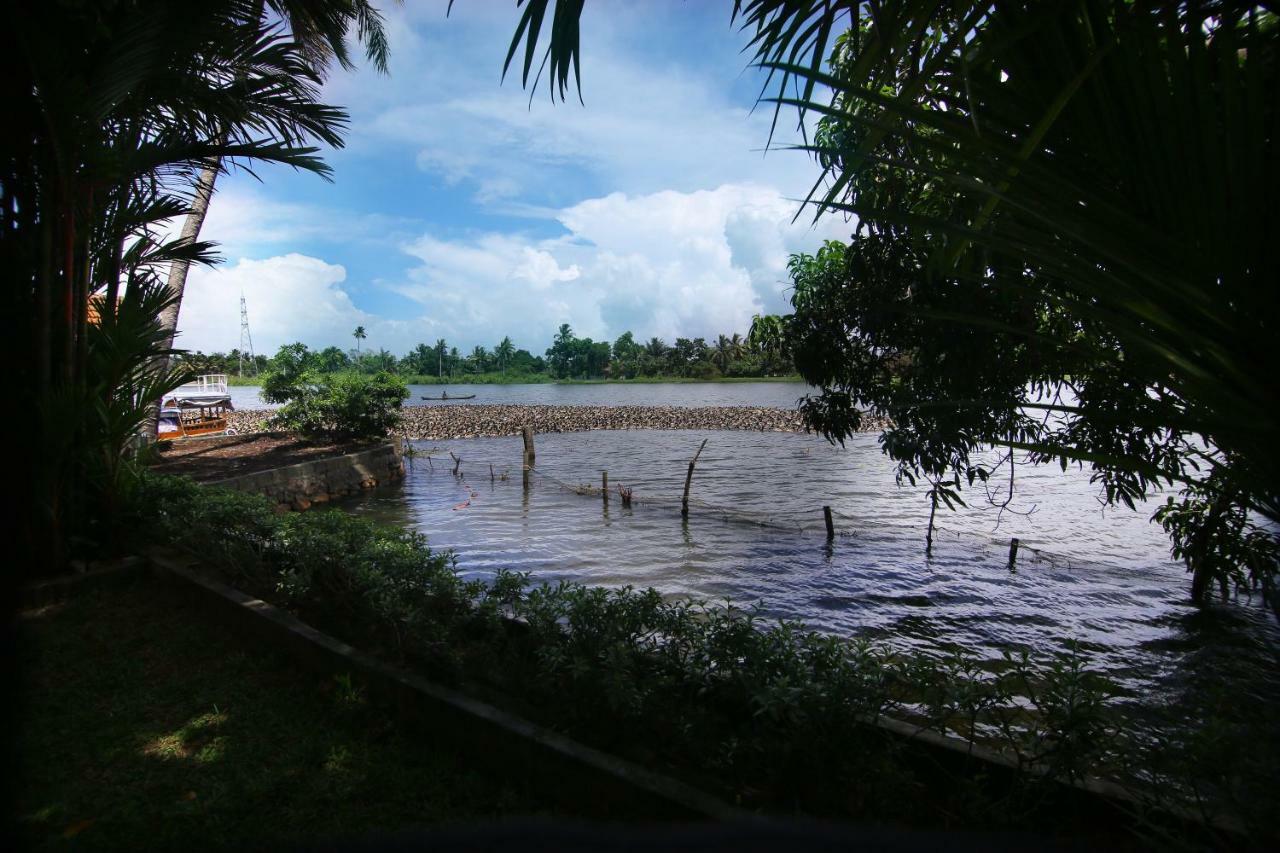 阿育吠陀绿色宫殿度假村 Alappuzha 外观 照片